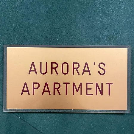 Aurora Suite, In The Historic Centre, Very Short Walk To Sites, Ac Bedrooom With In-room Bth, 2nd Floor شقة فلورنس
